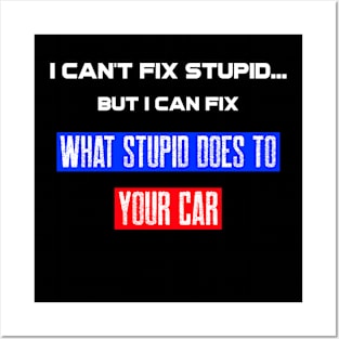 I can't fix stupid. But I can fix what stupid does to your car. Posters and Art